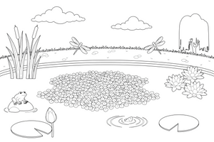 Floating duckweed covering the surface of the pond – Water Plants coloring page