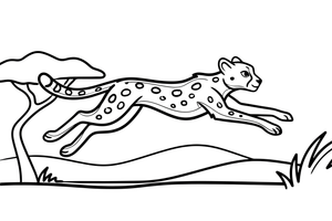 A cheetah leaping through the air – Cheetah Wild Cat coloring page