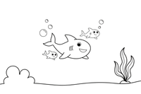A shark family — one big shark and two little baby sharks swimming together – Curious Shark coloring page