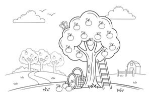 An apple tree full of round apples – Trees coloring page