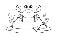 A crab on a rock in a tide pool – Colorful Sea Creature coloring page