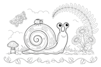 A close-up of a snail with a round shell – Snail coloring page