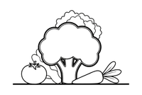 A head of broccoli – Fresh Vegetables coloring page