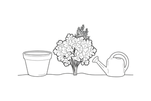 A parsley plant with curly leaves – Fragrant Herb Garden coloring page