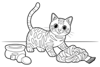 Bengal cat with a tangled scarf – Bengal Cat coloring page