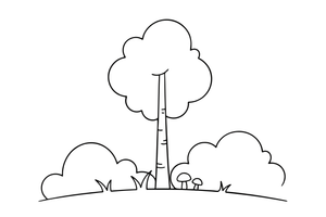 A slender birch tree with a white trunk – Lithuanian Nature Plants coloring page