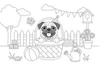 Pug peeking out of a basket – Playful Pug Dog coloring page