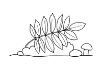One big rowan leaf with many small leaflets – Leaves coloring page