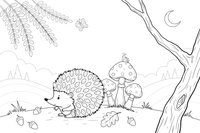 A hedgehog curling up into a ball – Hedgehog coloring page