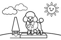 Poodle wearing a bow at a dog show – Poodle Dog Outdoor Fun coloring page