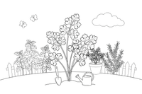 A parsley plant with curly leaves – Fragrant Herb Garden coloring page