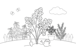 A parsley plant with curly leaves – Fragrant Herb Garden coloring page