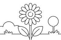 A gerbera daisy with a big round center and many petals – Popular Flowers coloring page