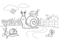 A snail carrying its spiral shell home on its back – Animal Homes coloring page