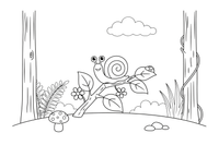 A twig with a couple of leaves and a snail – Forest Plant Wonders coloring page