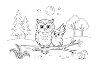 A mama owl with her owlet – Owl coloring page