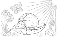 A close-up of a round ladybug – Ladybug coloring page