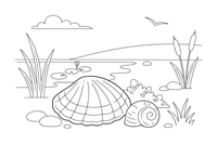 A river shell and a small snail shell – Nature treasures coloring page