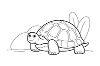 One big tortoise up close, filling the page, its shell divided into simple sections, empty inside – Reptiles & Amphibians coloring page
