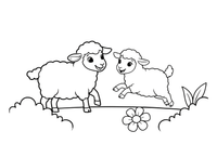 Two lambs playing together – Sheep coloring page