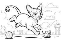 Sphynx sprinting after the mouse running – Sphynx Cat in Motion coloring page