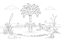 A papyrus plant with a feathery top by the water – Water Plants coloring page