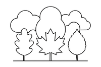 A row of different leaves: oak, maple and birch side by side – Vibrant Leaves Tree coloring page