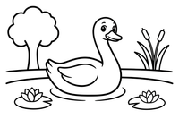 A swan on a pond in a park – Elegant Swan Bird coloring page