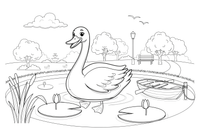 A swan on a pond in a park – Elegant Swan Bird coloring page