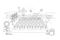 A vegetable garden with rows of carrots, cabbages and lettuce – Garden & Gardening coloring page