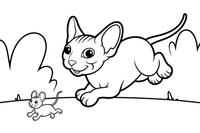 Sphynx sprinting after the mouse running – Sphynx Cat in Motion coloring page