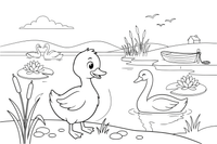 The duckling looking at its reflection and seeing a beautiful swan – The Ugly Duckling Story coloring page