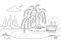 A willow tree bending over the water – Trees coloring page