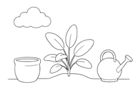 A sage plant with soft oval leaves – Fragrant Herb Garden coloring page