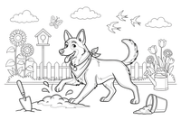 German shepherd digging in the garden – Playful German shepherd Dog coloring page