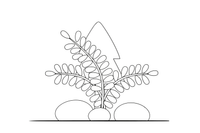 One big fern frond with many leaflets – Lithuanian Nature Plants coloring page