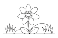 One big hepatica flower with pointed petals – Wildflowers coloring page
