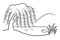 A willow tree bending over the water – Trees coloring page