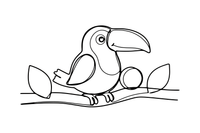A smiling toucan with a huge beak – Toucan coloring page