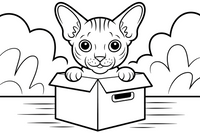 Sphynx Lurking Behind Storage Box – Sphynx Cat in Motion coloring page