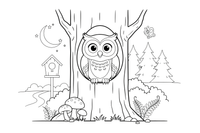 An owl sitting in a hollow of a tree at night – Lithuanian Bird Collection coloring page