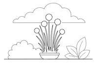 A chive plant with tall thin stalks – Fragrant Herb Garden coloring page