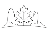 One big maple leaf – Trees coloring page