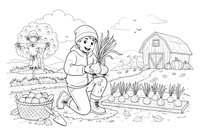 Pulling onions and laying them out to dry – Autumn Harvest coloring page