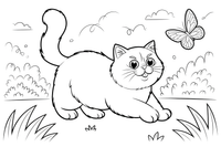 Persian Cat chasing a butterfly – Persian Cat Mischievous Antics coloring page