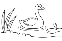 The young swan swimming proudly with its long curved neck – The Ugly Duckling Story coloring page