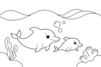 A mama dolphin with her calf – Colorful Sea Creature coloring page