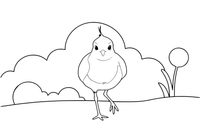 A lapwing with a little crest walking in a field – Lithuanian Bird Collection coloring page