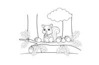 A squirrel sitting on an oak branch full of acorns – Forest Plant Wonders coloring page