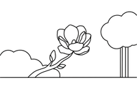 A magnolia flower on a bare branch – Popular Flowers coloring page